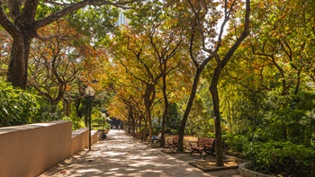 The park has many walkways shaded by avenues of mature trees.